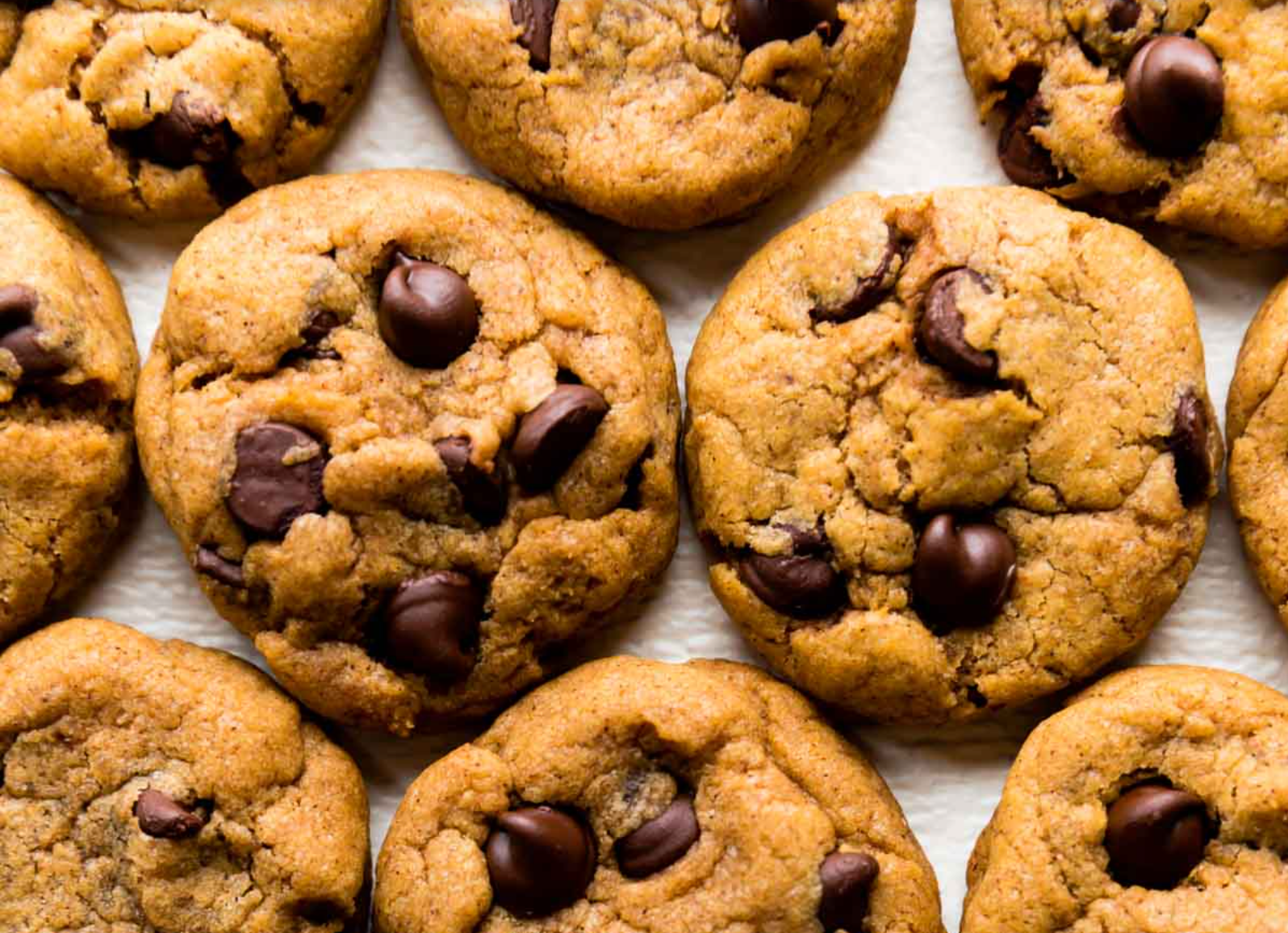 Pumpkin Chocolate Chip Cookies