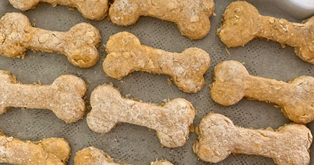 Pumpkin Sourdough Dog Treats